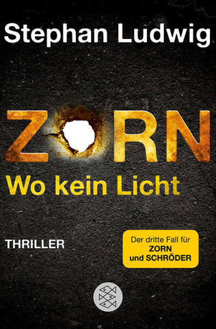 Zorn - Wo kein Licht - Thriller - Stephan Ludwig